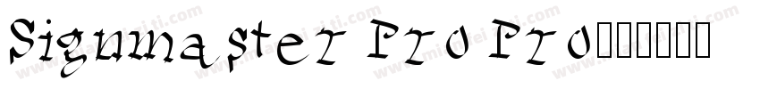 Signmaster Pro Pro字体转换
